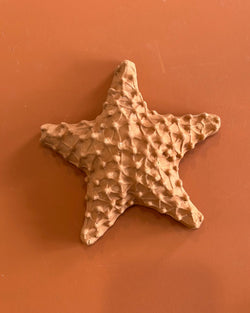 Estrela do mar de cerâmica M