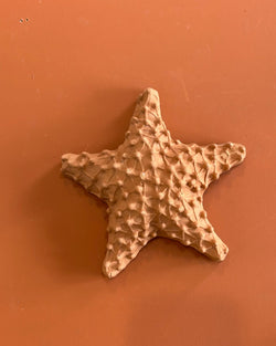 Estrela do mar de cerâmica P