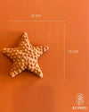 Estrela do mar de cerâmica PP