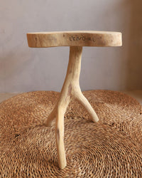 Banco de Madeira Leno MOD3