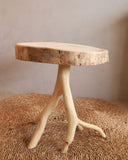 Banco de Madeira Leno MOD6