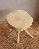 Banco de Madeira Leno MOD1