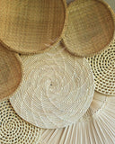 Composição de Parede Curió