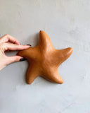 Estrela do Mar Lisa de Parede G 16cm