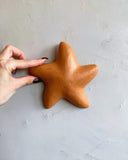 Estrela do Mar Lisa de Parede M 14cm