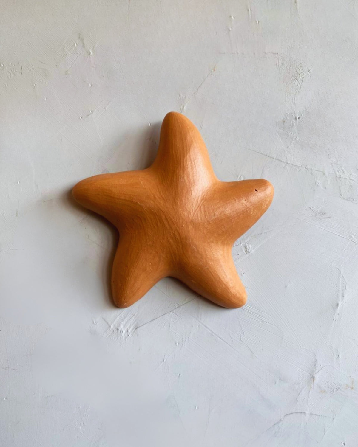 Estrela do Mar Lisa de Parede M 14cm