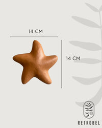 Estrela do Mar Lisa de Parede M 14cm