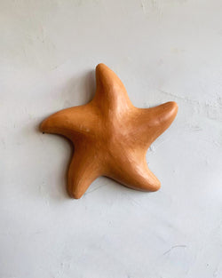 Estrela do Mar Lisa de Parede G 16cm