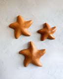 Estrela do Mar Lisa de Parede G 16cm