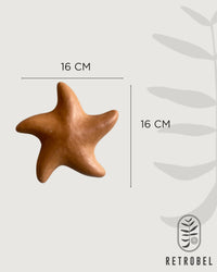 Estrela do Mar Lisa de Parede G 16cm